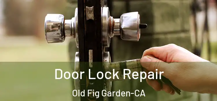  Door Lock Repair Old Fig Garden-CA