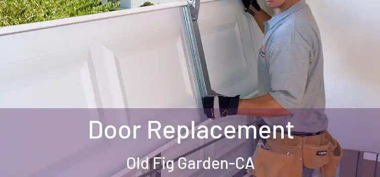  Door Replacement Old Fig Garden-CA