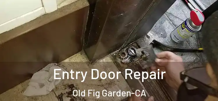  Entry Door Repair Old Fig Garden-CA