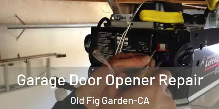  Garage Door Opener Repair Old Fig Garden-CA