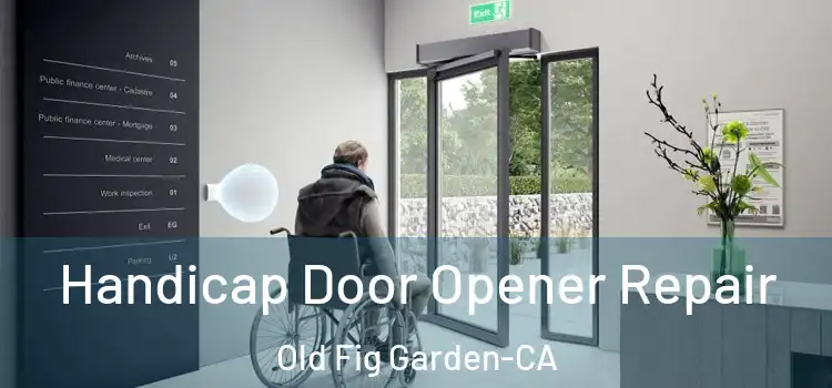 Handicap Door Opener Repair Old Fig Garden-CA