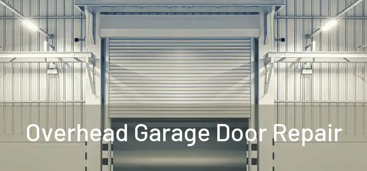  Overhead Garage Door Repair 